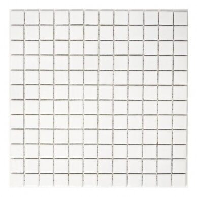 Mozaika White Mat 23x23mm 1