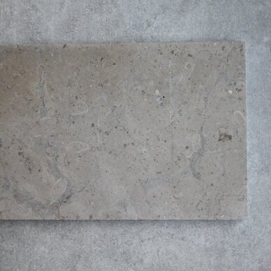 Natūralus akmuo Taupe Granite 20x100 4